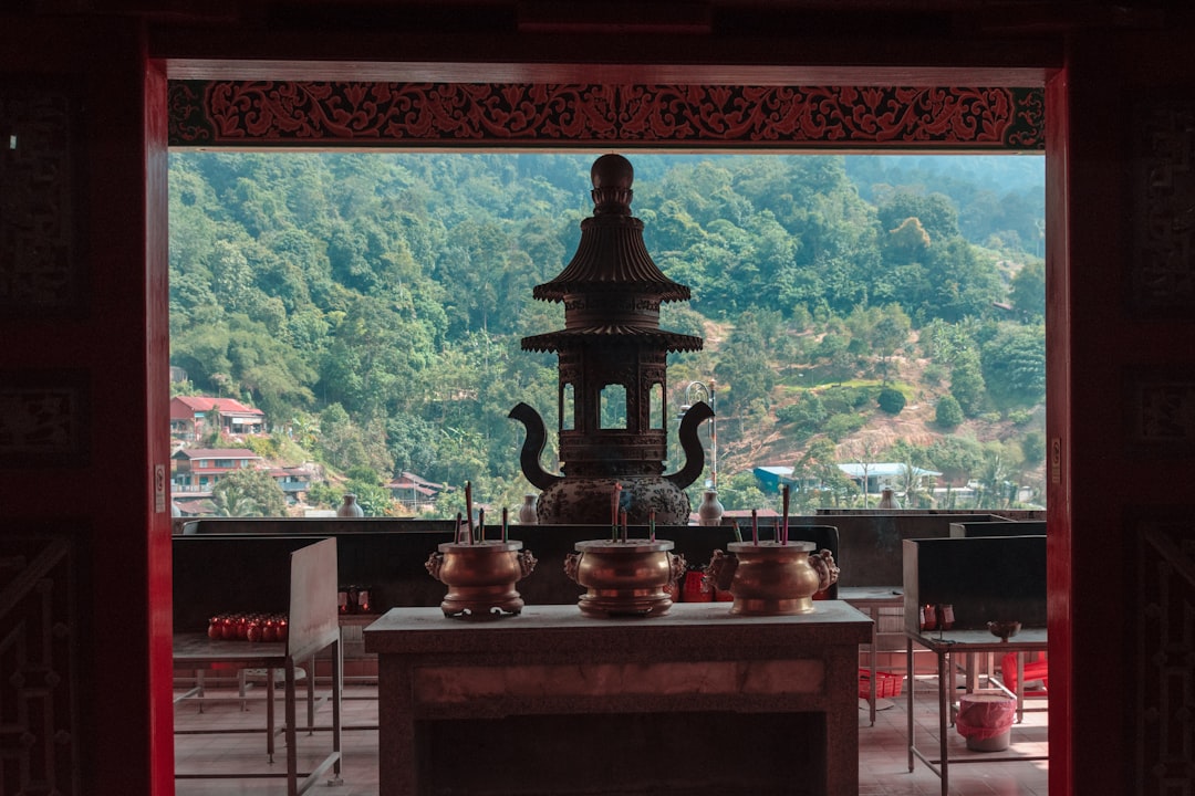 掌心麻将误区复盘：一次亲友聚会落地全记录